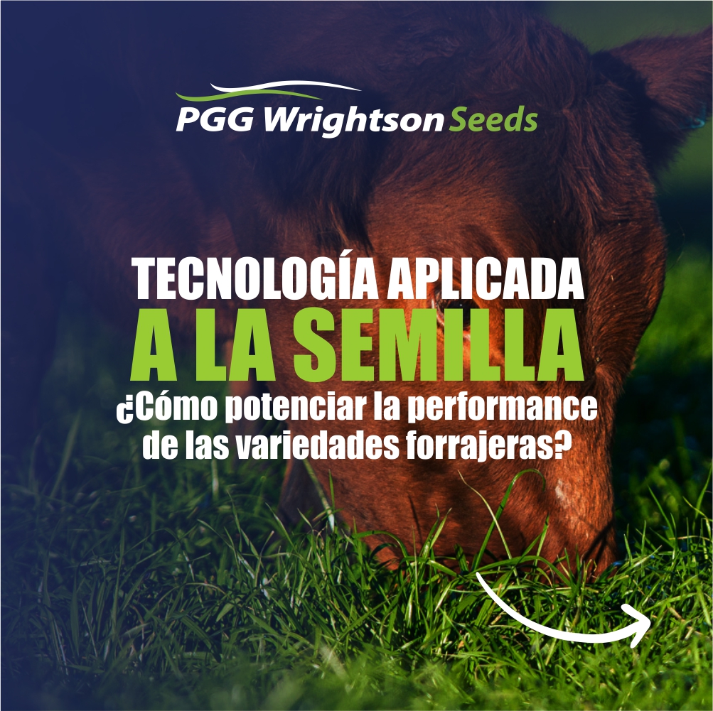 Tecnología aplicada a la semilla