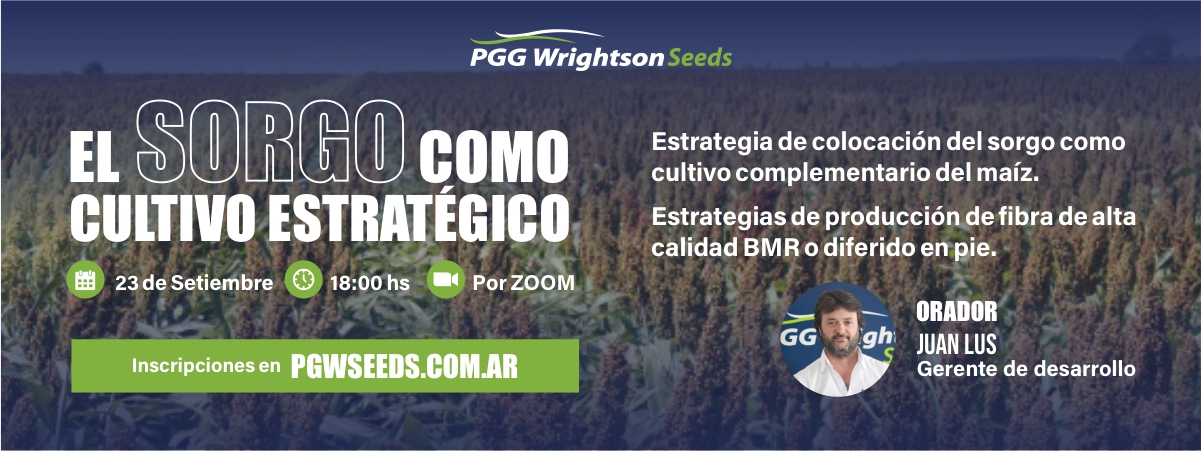 El sorgo como cultivo estratégico